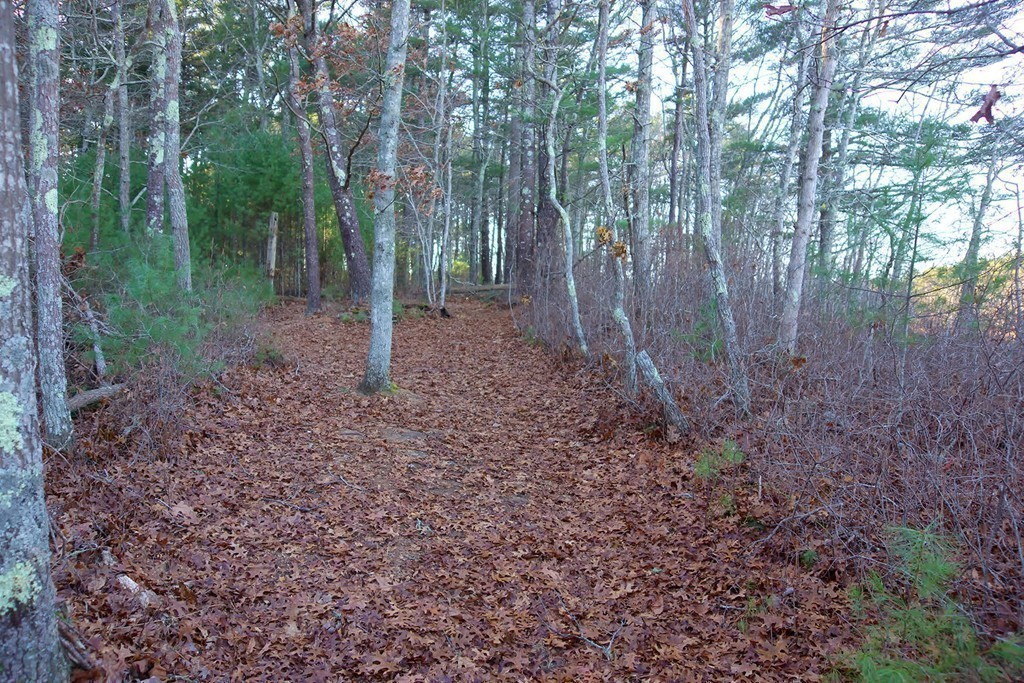 0 Jobs Island Road Wareham, MA 02571 - Photo 24 of 40 Gallery Image 24