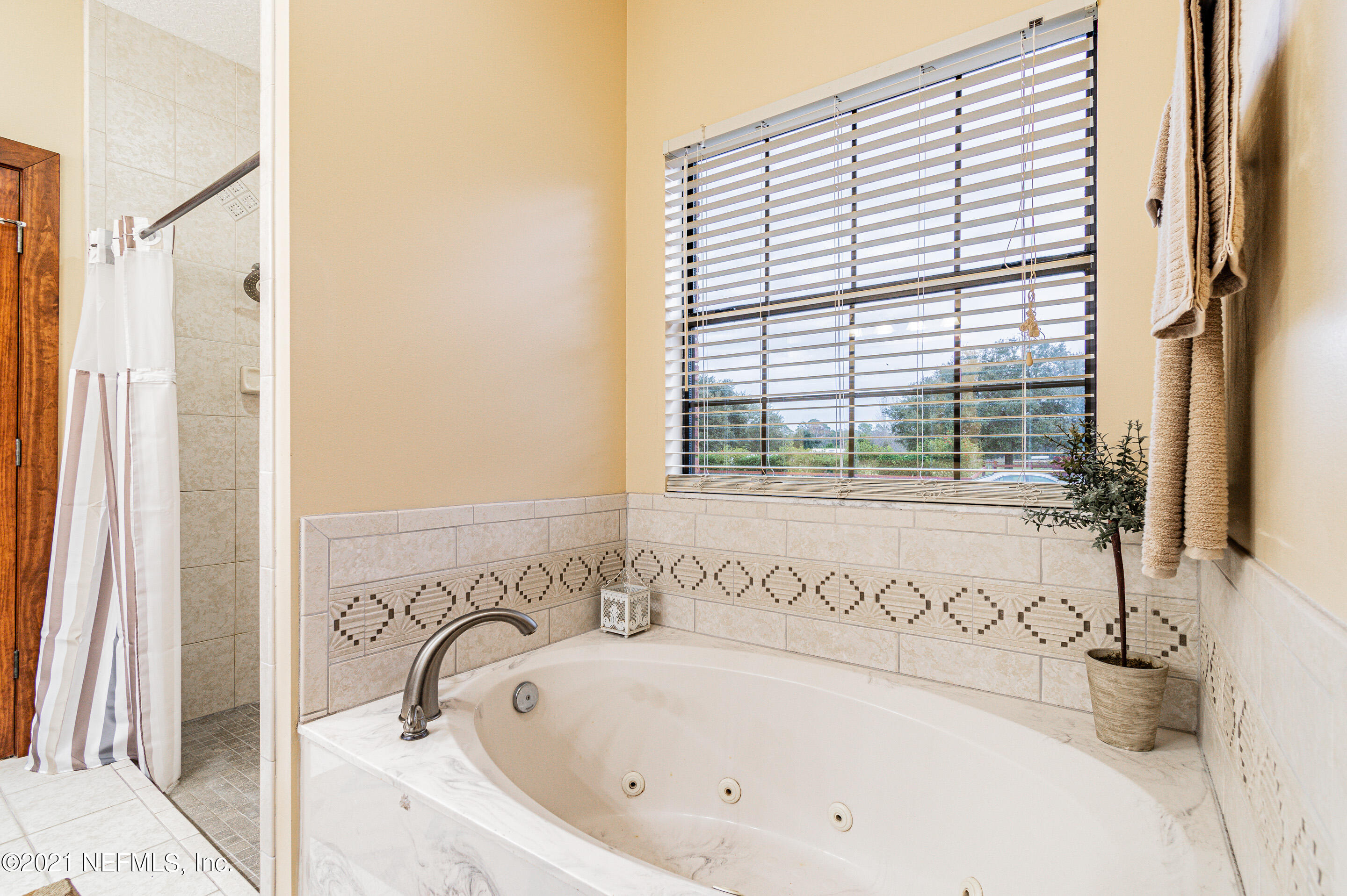 268 Decoy Road Green Cove Springs, FL 32043 - Photo 26 of 49 Master Bathroom (3)