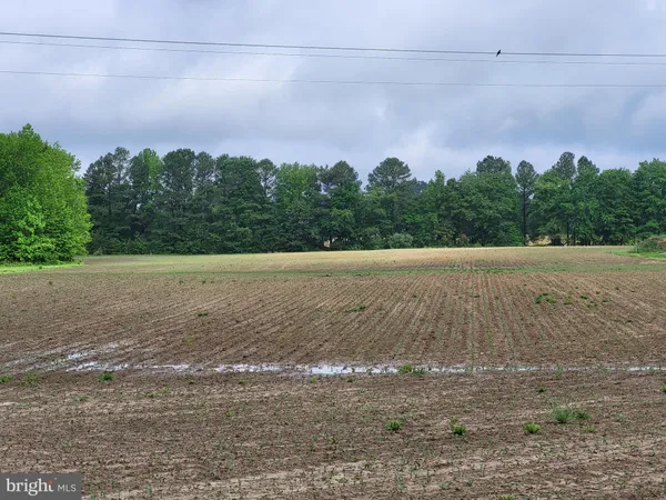 $189,900 | Lot A Blades Road, Cordova, MD 21625