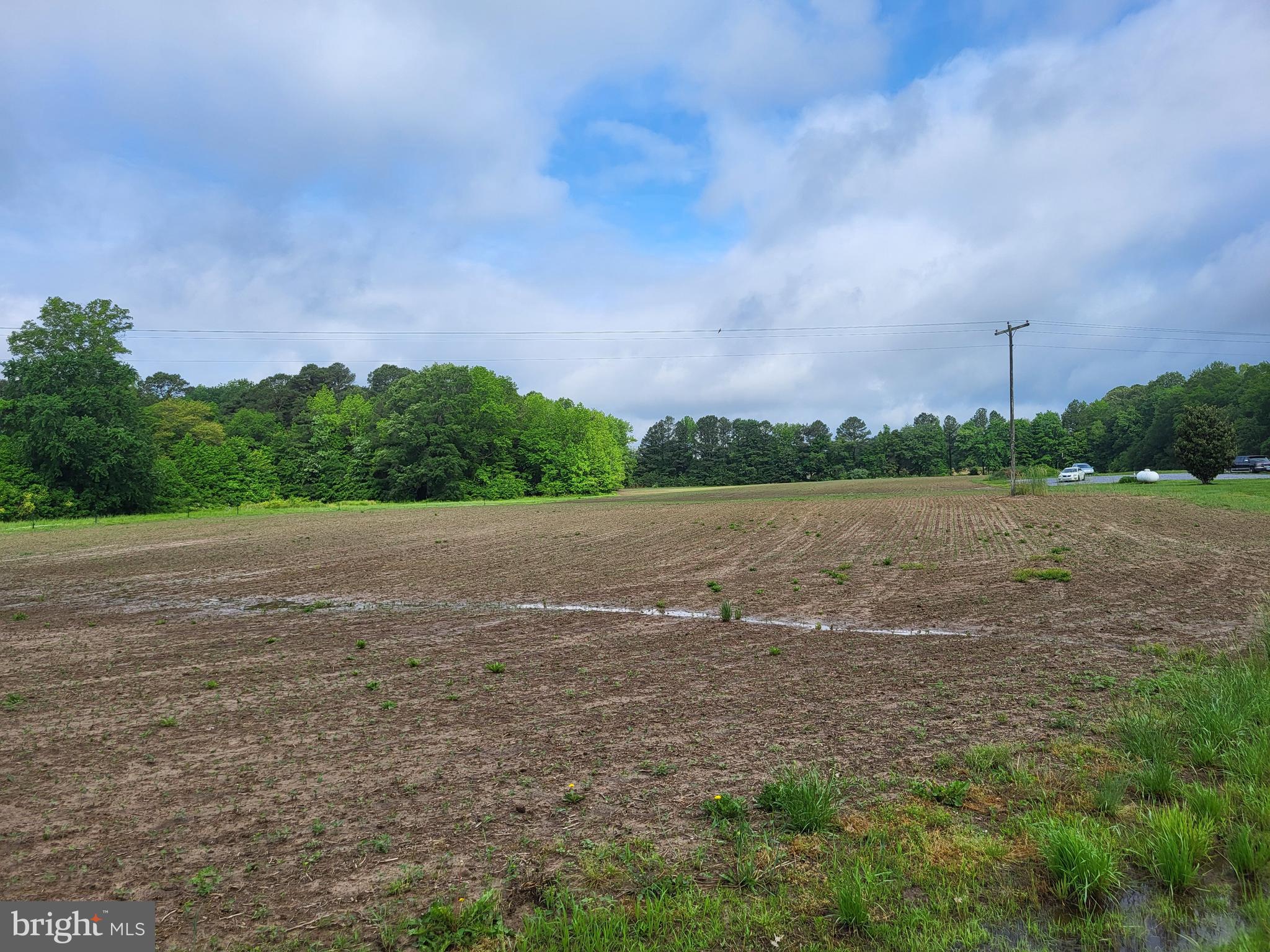 Lot A Blades Road Cordova, MD 21625 - Photo 2 of 2 From Front