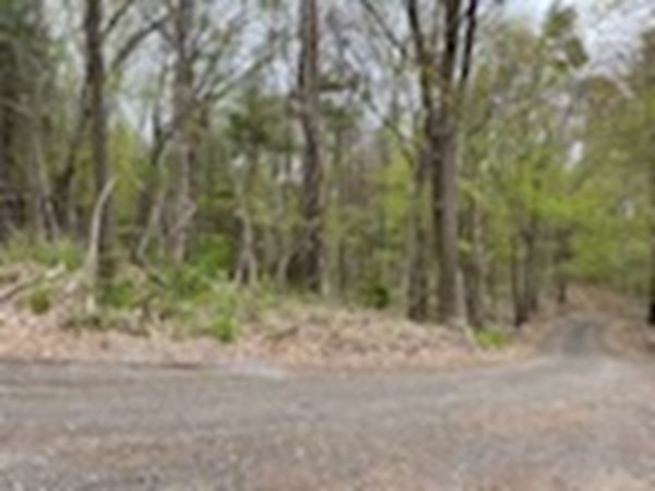 20 Spring Street Ipswich, MA 01938 - Photo 21 of 27 Gallery Image 21
