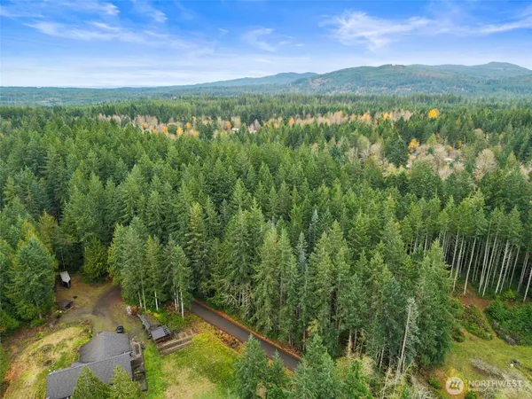 a view of a lush green forest with trees in the background