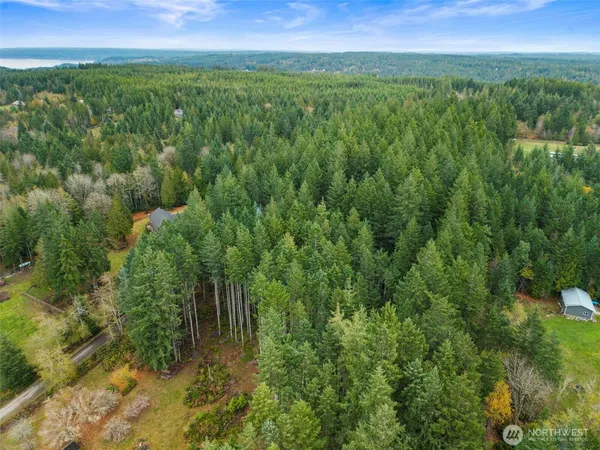 a view of a lush green forest with a houses