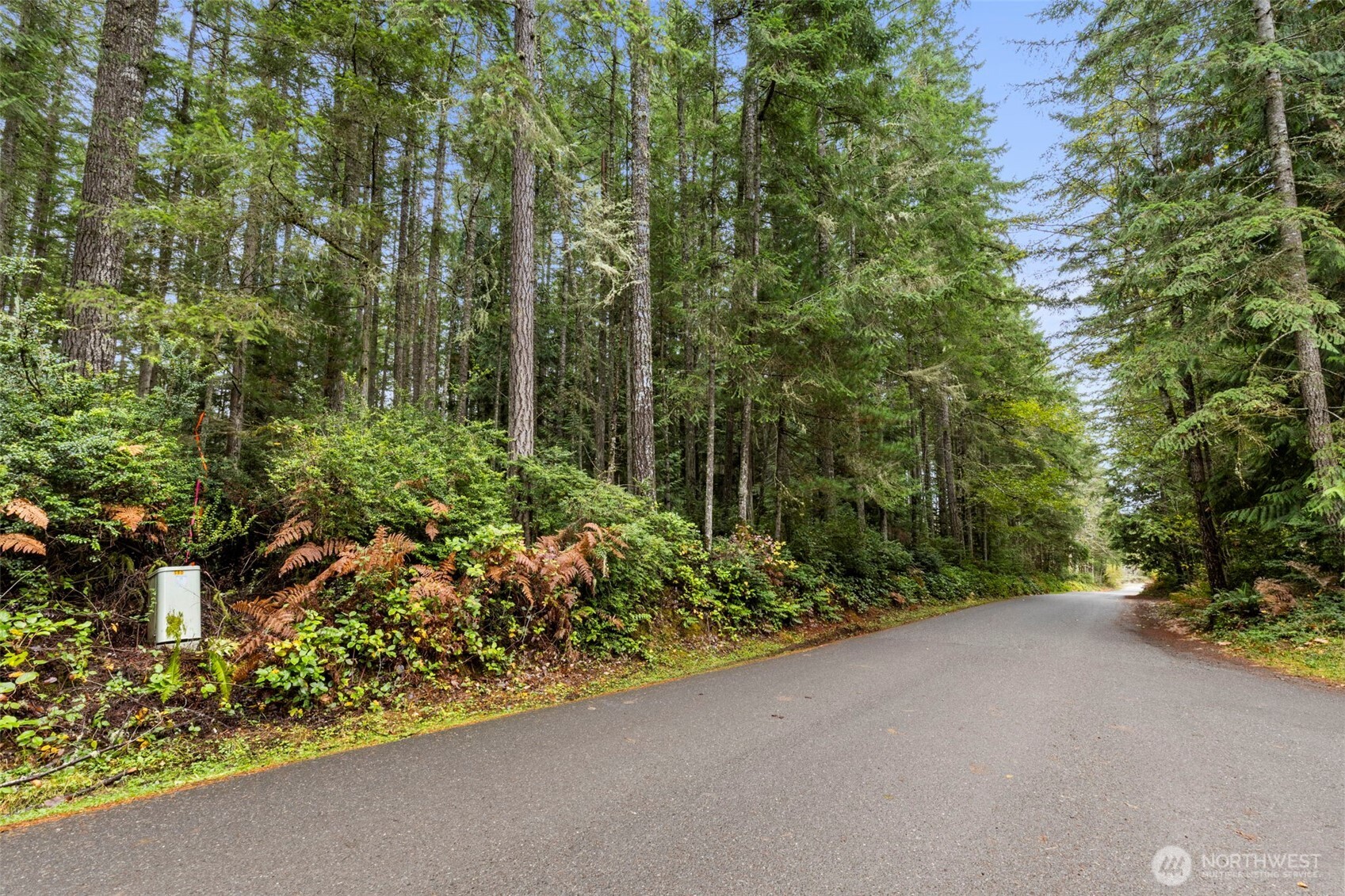 3 Larson Lane Northwest Seabeck, WA 98380 - Photo 2 of 18 a view of a garden with plants and large trees