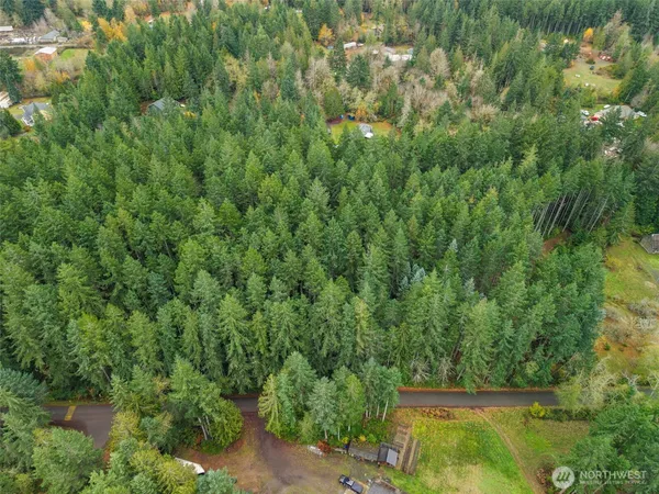 a view of a forest with a houses