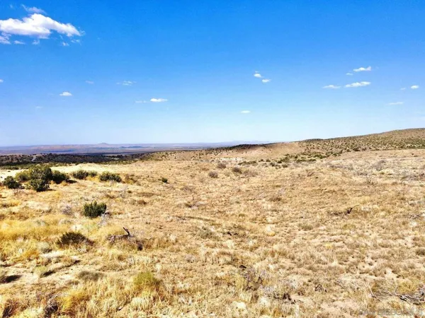 a view of a mountain in the distance
