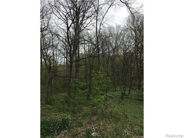 0 Scotch Settlement Road Romeo, MI 48065 - Photo 1 of 1