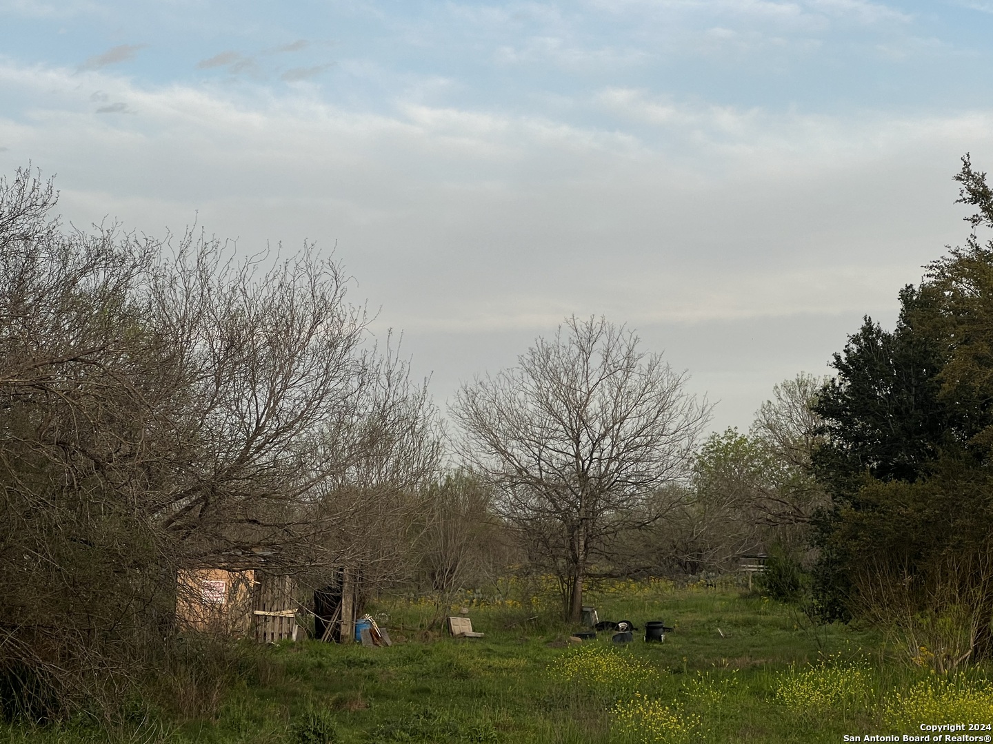 15750 Shepherd Road Atascosa, TX 78002 - Photo 8 of 12 a view of a big yard