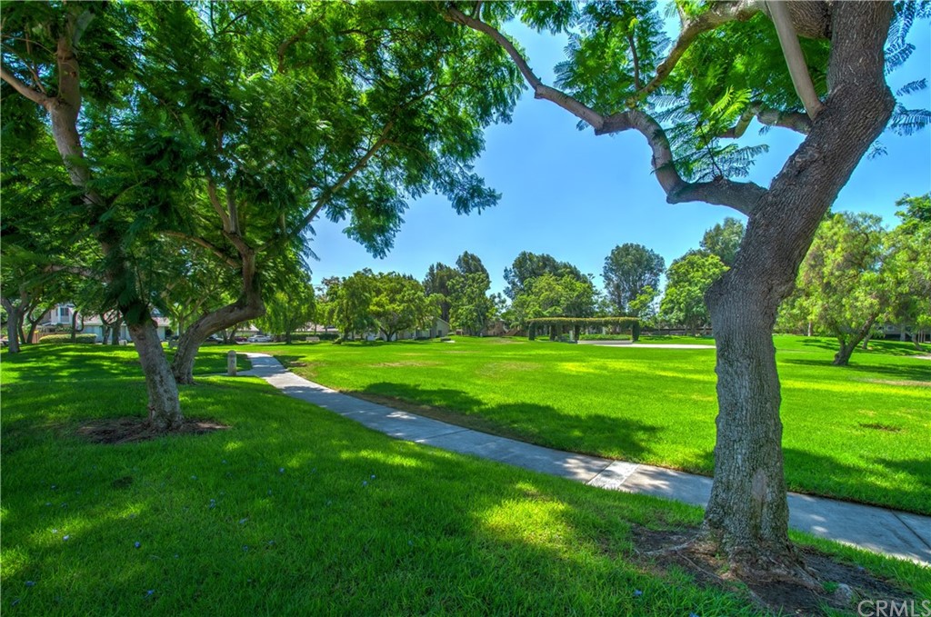 13 Brookmont, Unit 60 Irvine, CA 92604 - Photo 41 of 49 a view of a trees with a yard