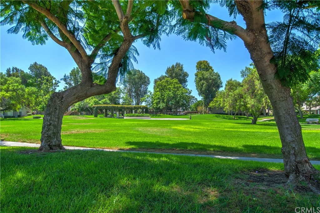 13 Brookmont, Unit 60 Irvine, CA 92604 - Photo 43 of 49 a view of a garden with a tree