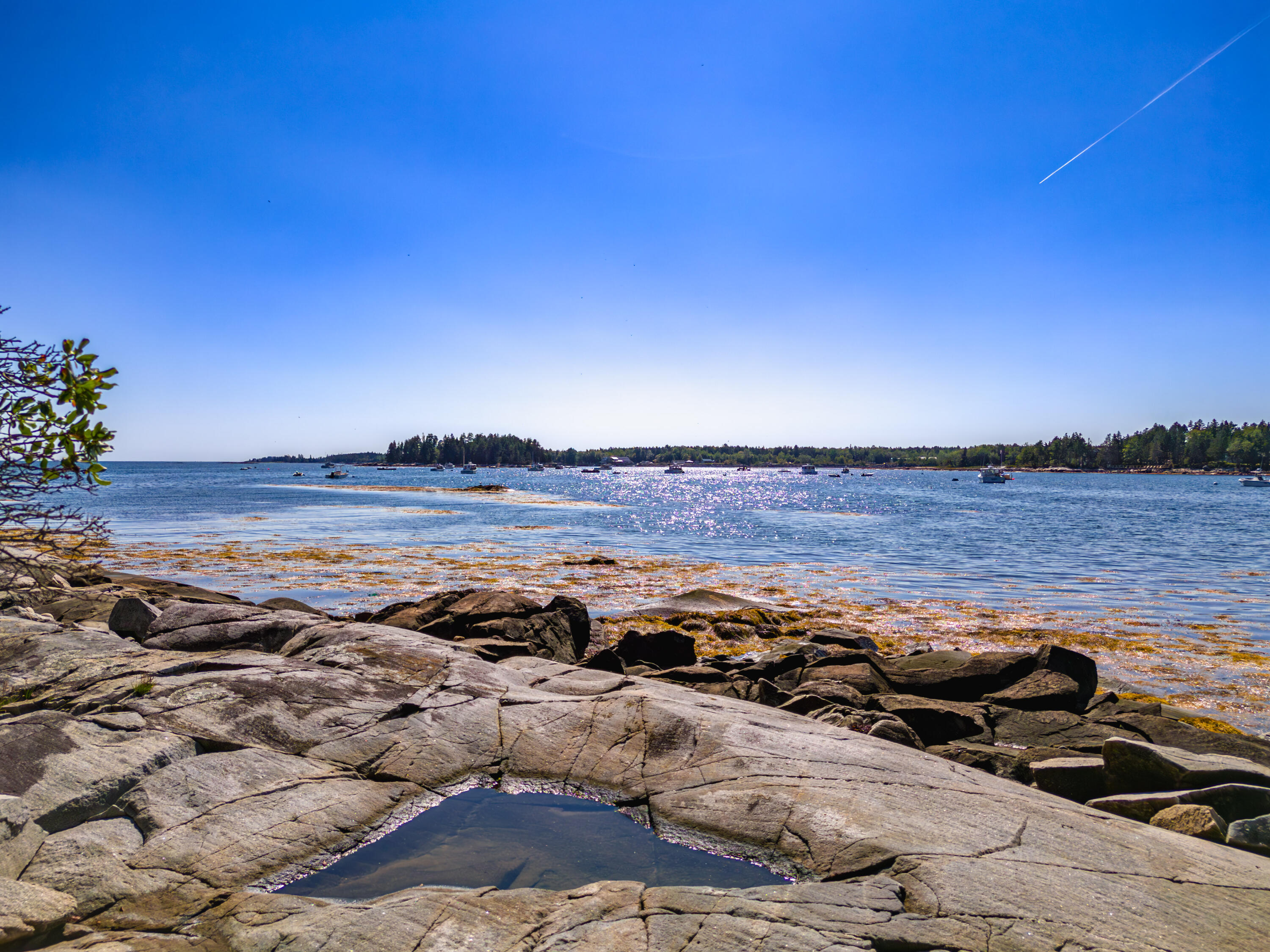 130 Harrington Cove Road St. George, ME 04859 - Photo 79 of 94 Shore