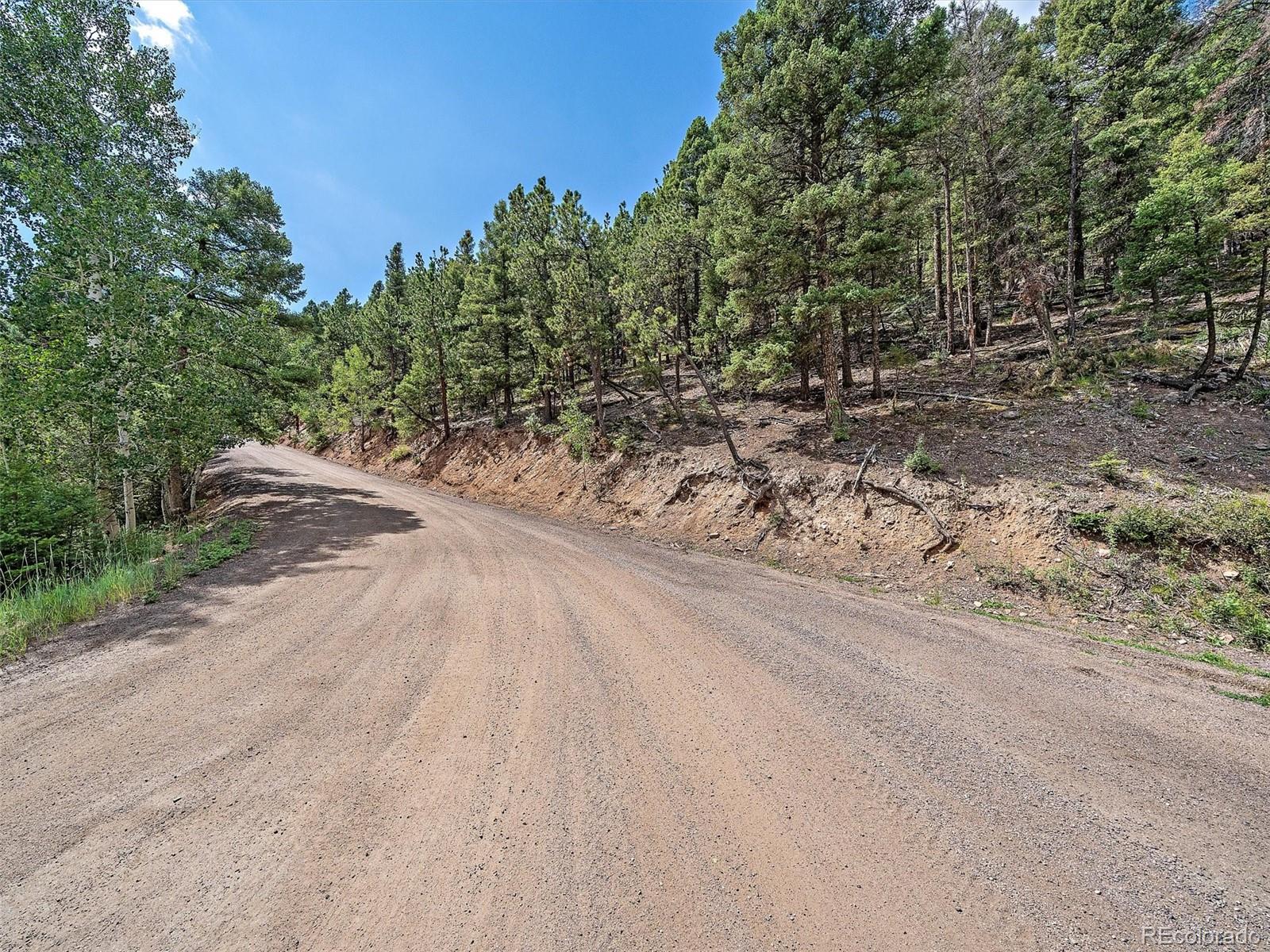 13745 Shiloh Drive Conifer, CO 80433 - Photo 11 of 20 a view of a yard with plants and trees