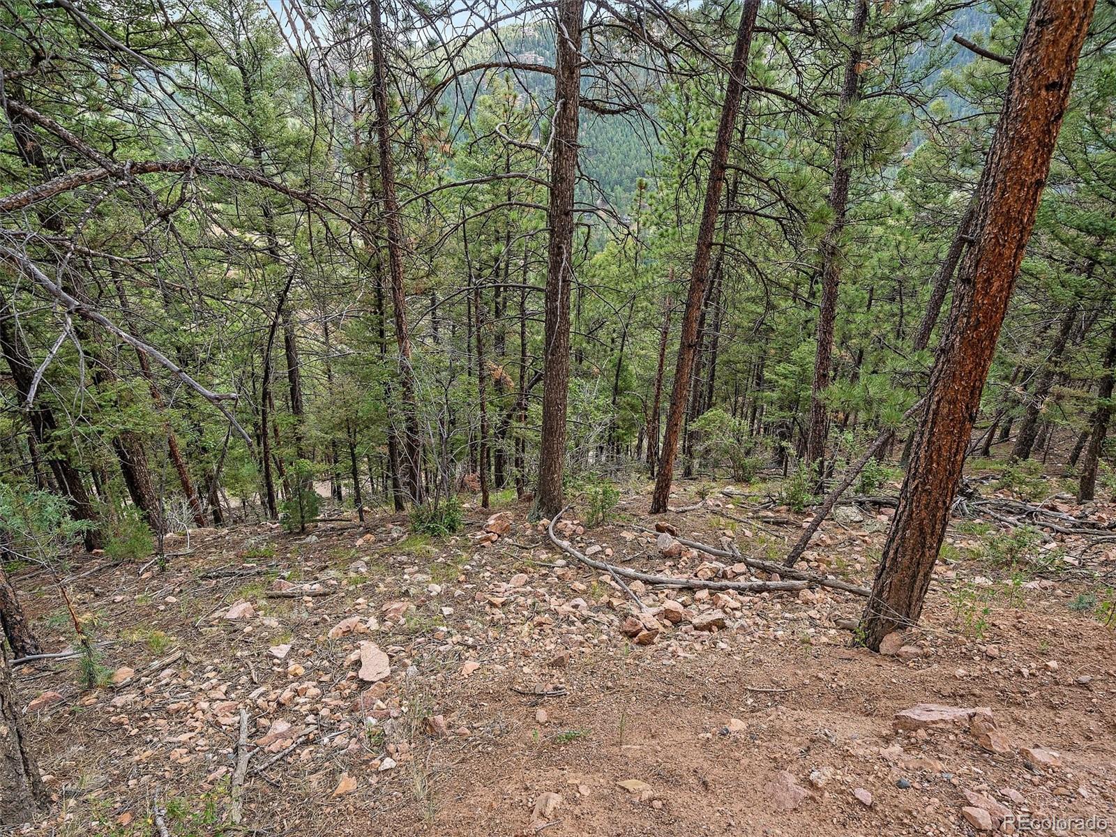 13745 Shiloh Drive Conifer, CO 80433 - Photo 17 of 20 a big yard with lots of green space and fog