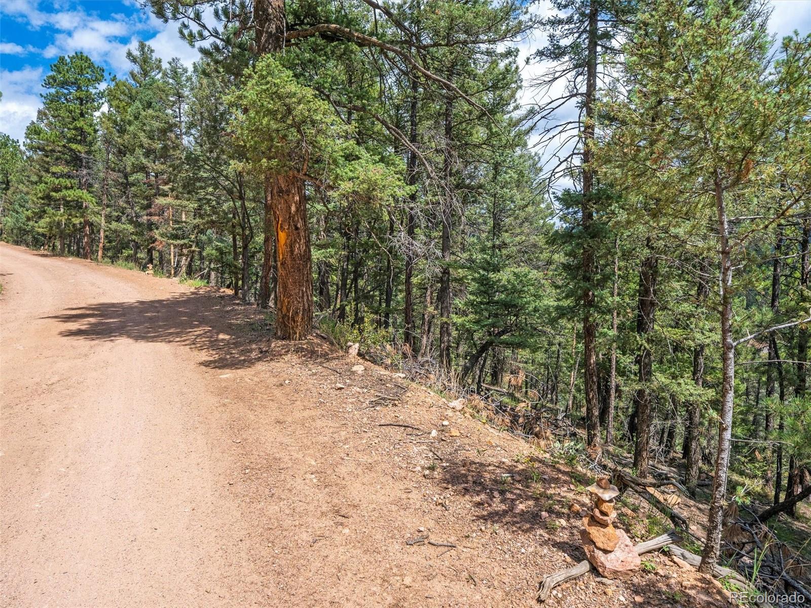 13745 Shiloh Drive Conifer, CO 80433 - Photo 3 of 20 a view of a yard with trees