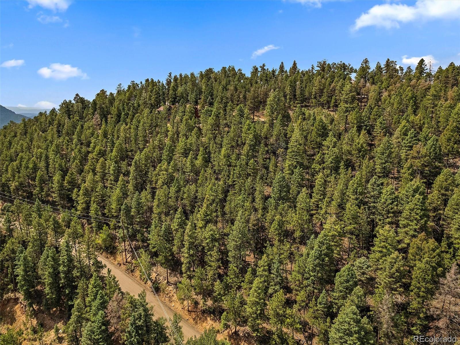 13745 Shiloh Drive Conifer, CO 80433 - Photo 6 of 20 a view of a city with lush green forest