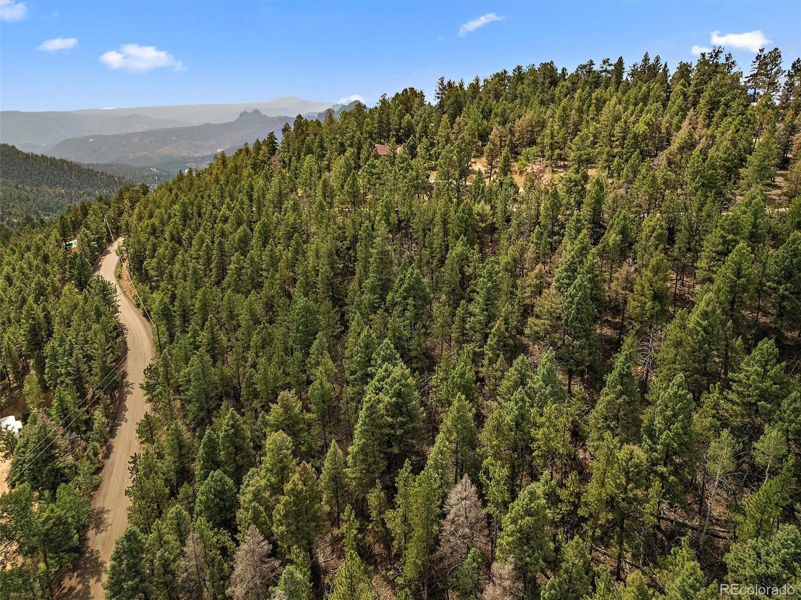 13745 Shiloh Drive Conifer, CO 80433 - Photo 7 of 20 a view of a forest with a mountain