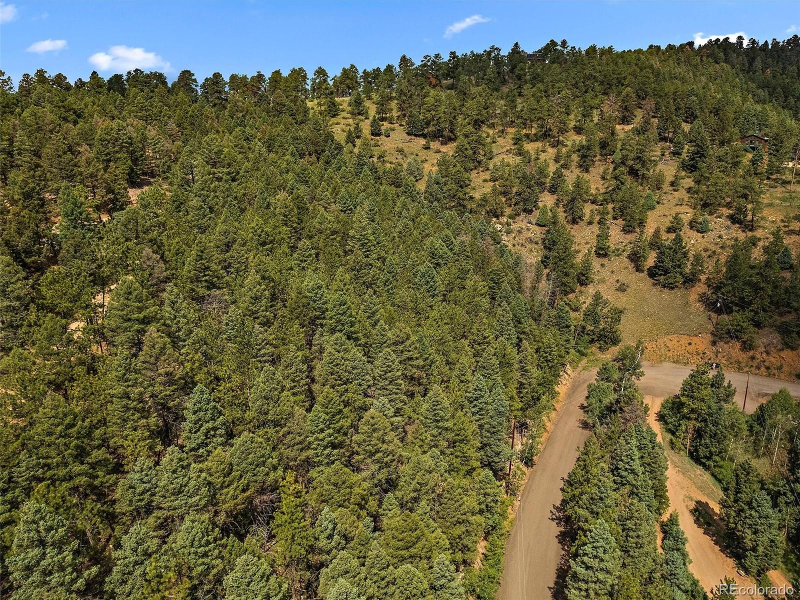 13745 Shiloh Drive Conifer, CO 80433 - Photo 8 of 20