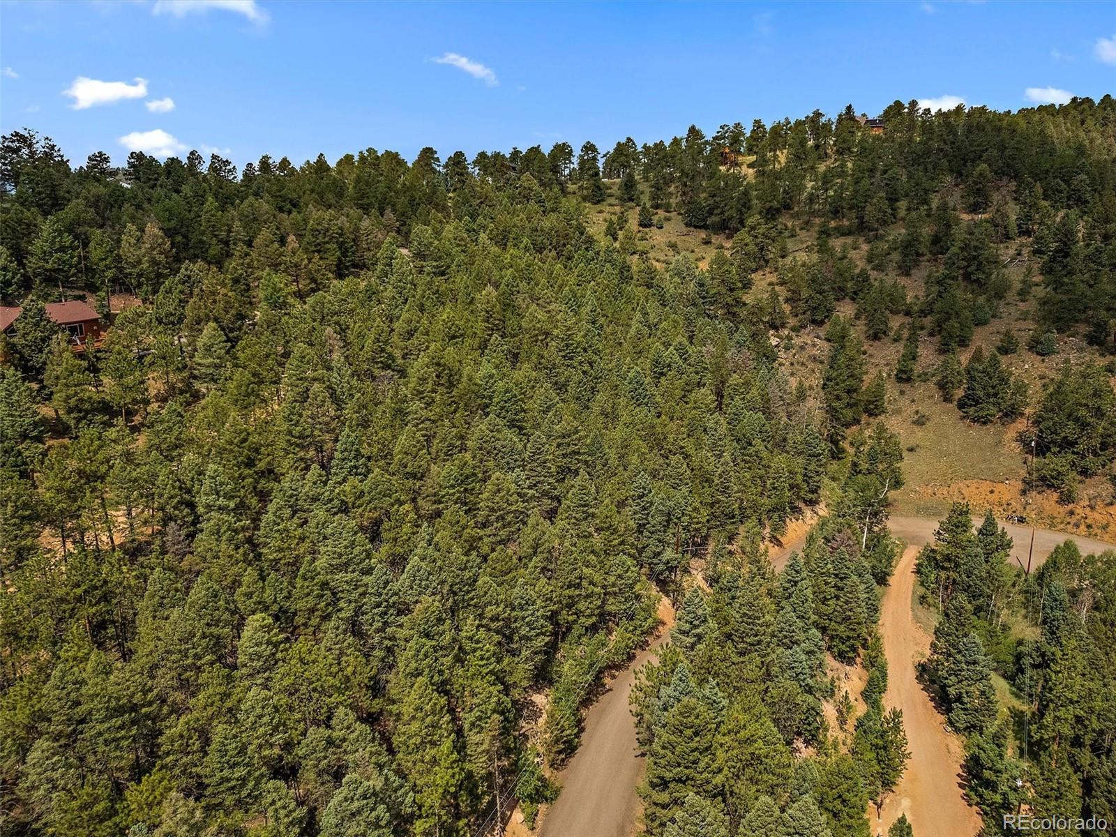 13745 Shiloh Drive Conifer, CO 80433 - Photo 9 of 20 a view of a city with lush green forest