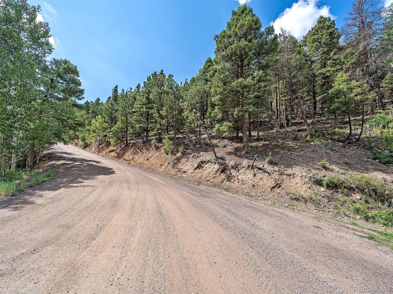 13745 Shiloh Drive Conifer, CO 80433 - Photo 10 of 20 a view of a dirt road with trees in the background