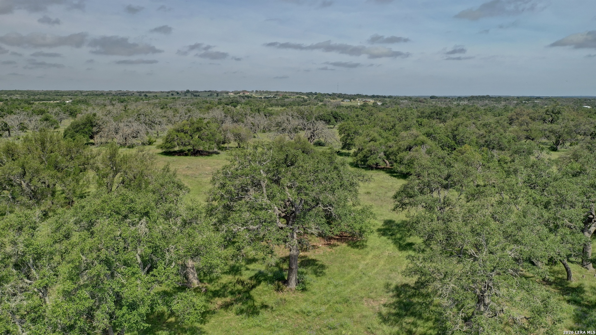 2178 South Ranch Road 783 Harper, TX 78631 - Photo 64 of 74