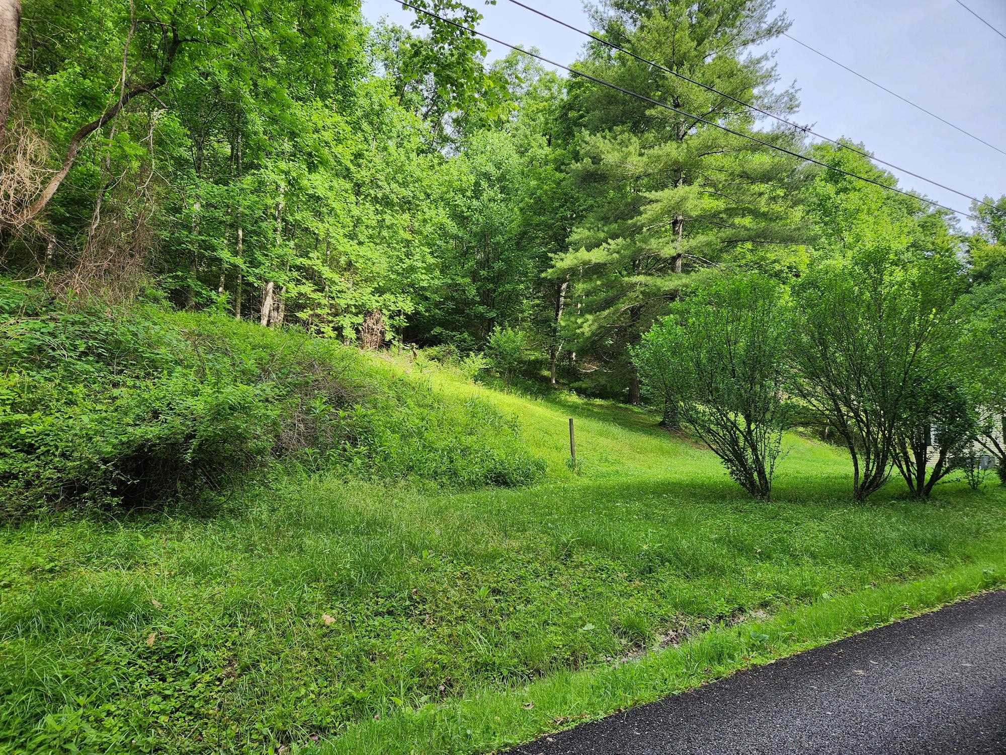 0 Clay Hollow Road Rush, KY 41168 - Photo 12 of 50 Gallery Image 12
