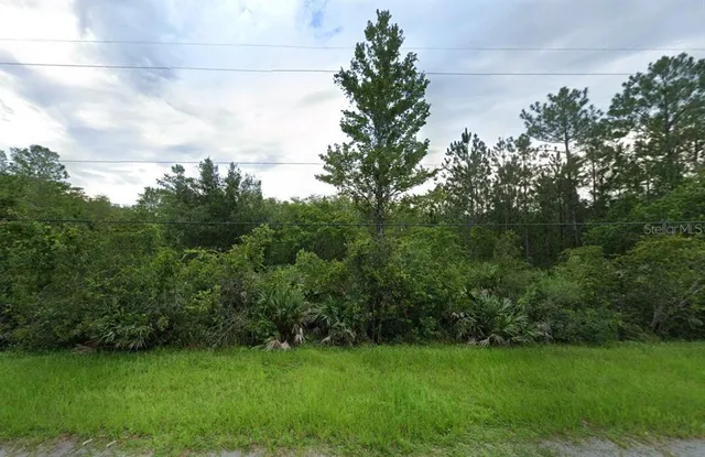 a view of a green yard