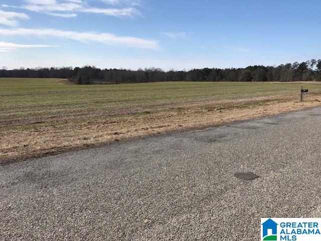 62 Spearman Road Thorsby, AL 35171 - Photo 25 of 49