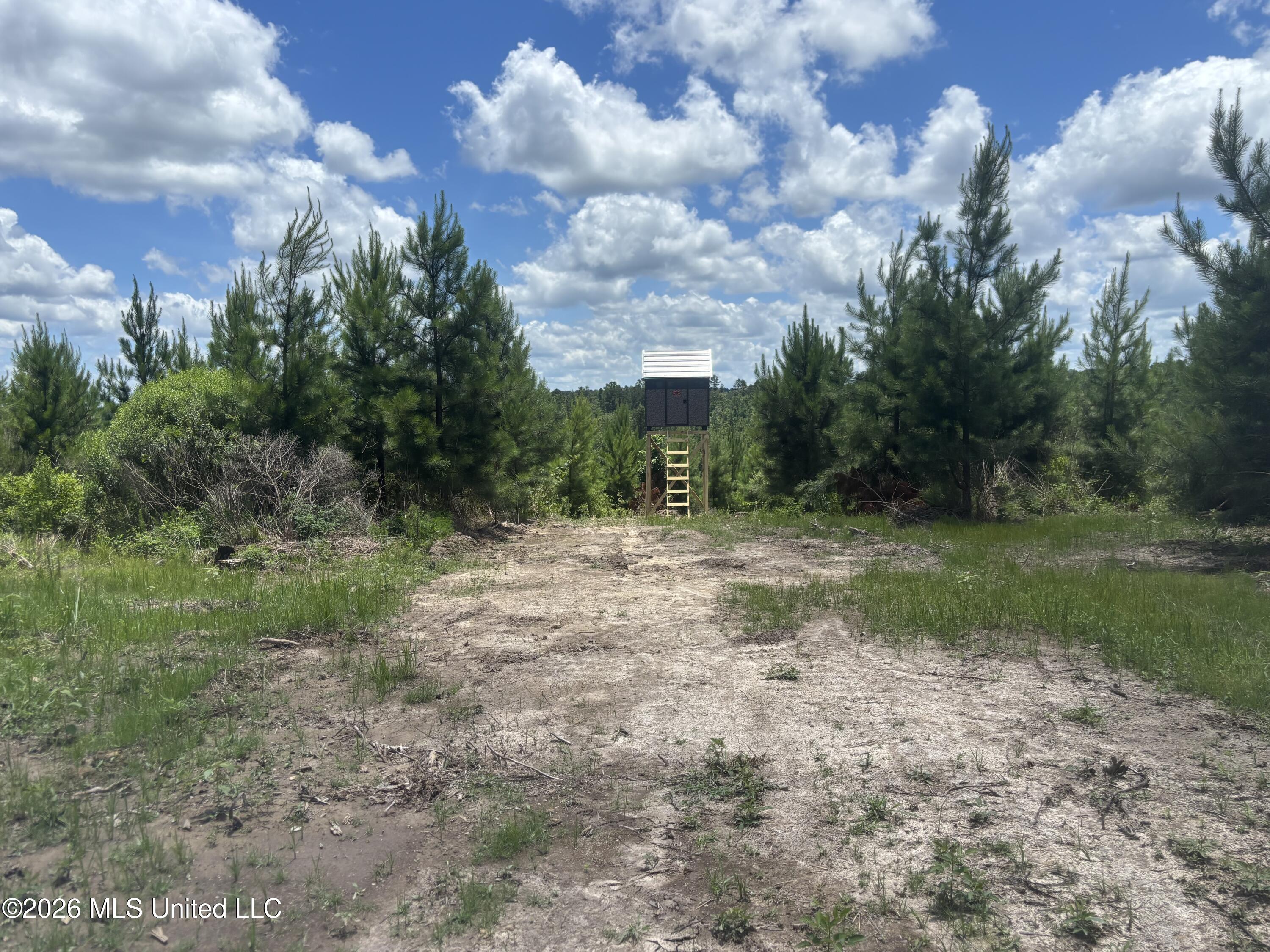 Stump Road Crosby, MS 39633 - Photo 24 of 60 IMG_4364