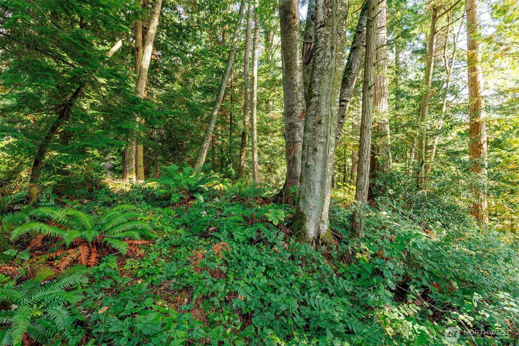 5326 Reese Hill Road Sumas, WA 98295 - Photo 11 of 23