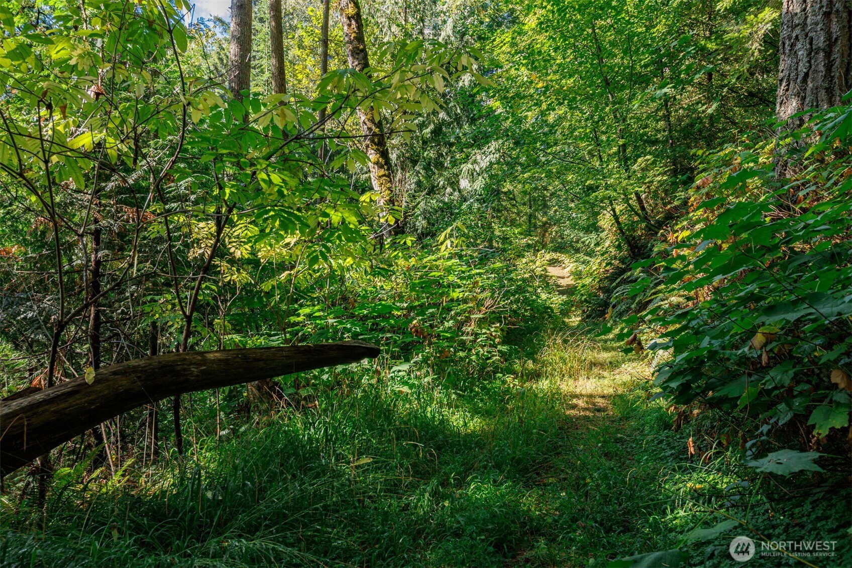 5326 Reese Hill Road Sumas, WA 98295 - Photo 18 of 23 a view of outdoor space and deck