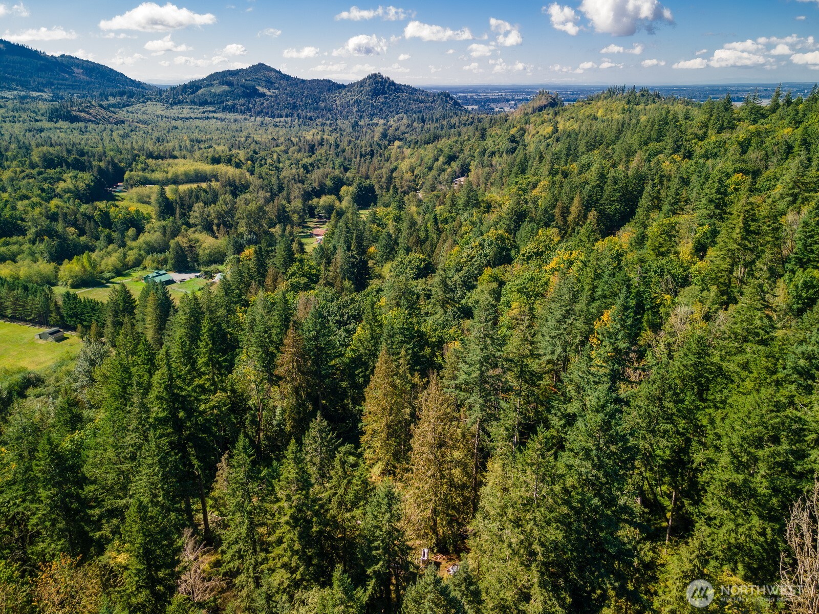 5326 Reese Hill Road Sumas, WA 98295 - Photo 19 of 23 a view of a yard with a tree