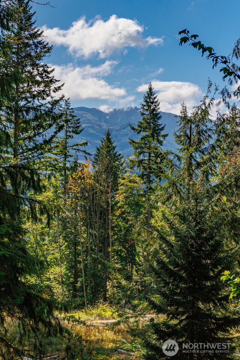 5326 Reese Hill Road Sumas, WA 98295 - Photo 20 of 23