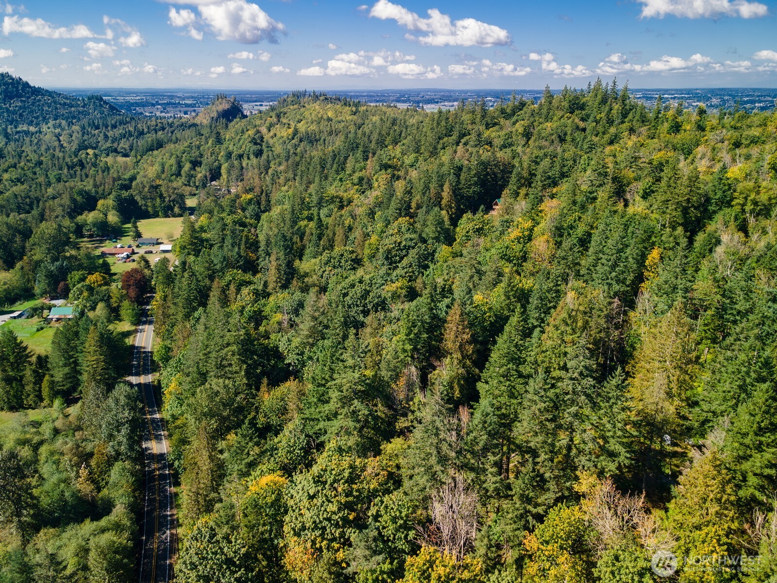 5326 Reese Hill Road Sumas, WA 98295 - Photo 5 of 23 a view of a bunch of plants