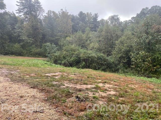 1515 Howard Gap Loop Road Flat Rock, NC 28731 - Photo 6 of 26 Gallery Image 6