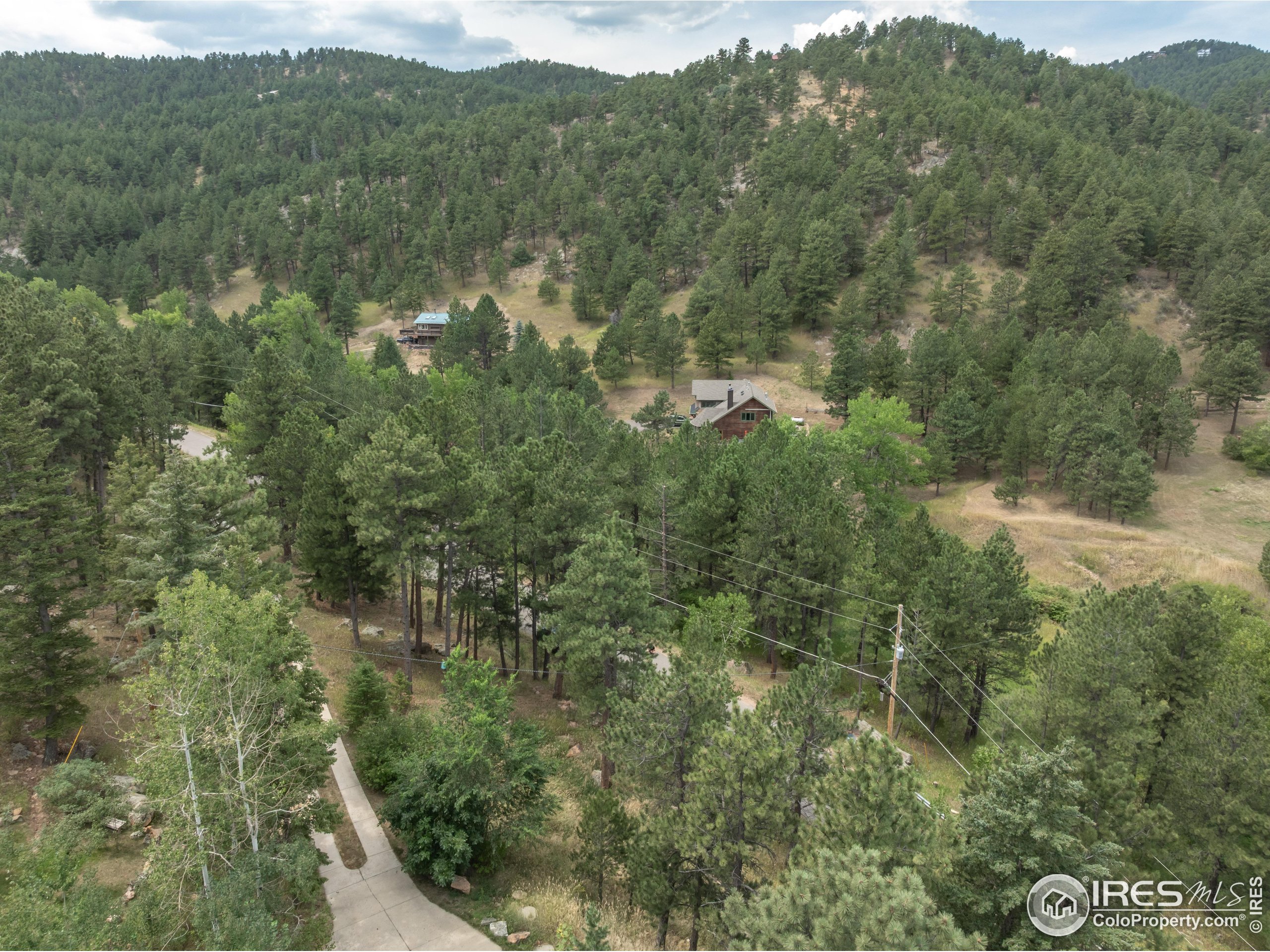 301 Valley Lane Boulder, CO 80302 - Photo 42 of 46 a view of a forest with a street