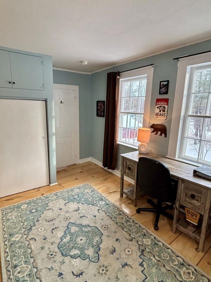11 North Line Road Wolfeboro, NH 03894 - Photo 36 of 51