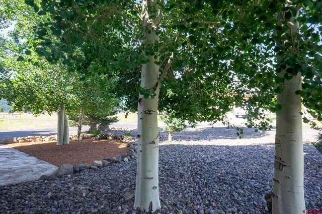 a view of a chairs and table in backyard