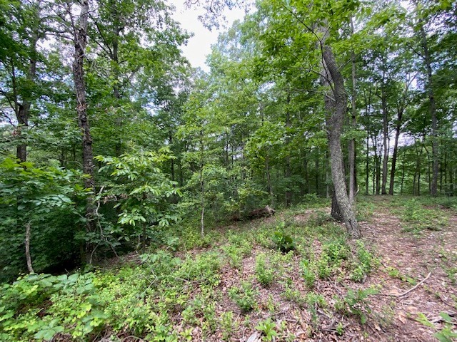 0 Eagle View Cove Big Sandy, TN 38221 - Photo 11 of 11