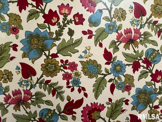 $49,000 | 102 West North 1st Street, Table Grove, IL 61482