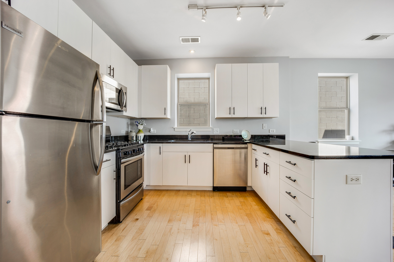 1136 West 13th Street, Unit 301 Chicago, IL 60608 - Photo 6 of 21