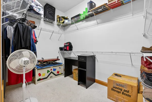 a view of a house with a yard and a large tree