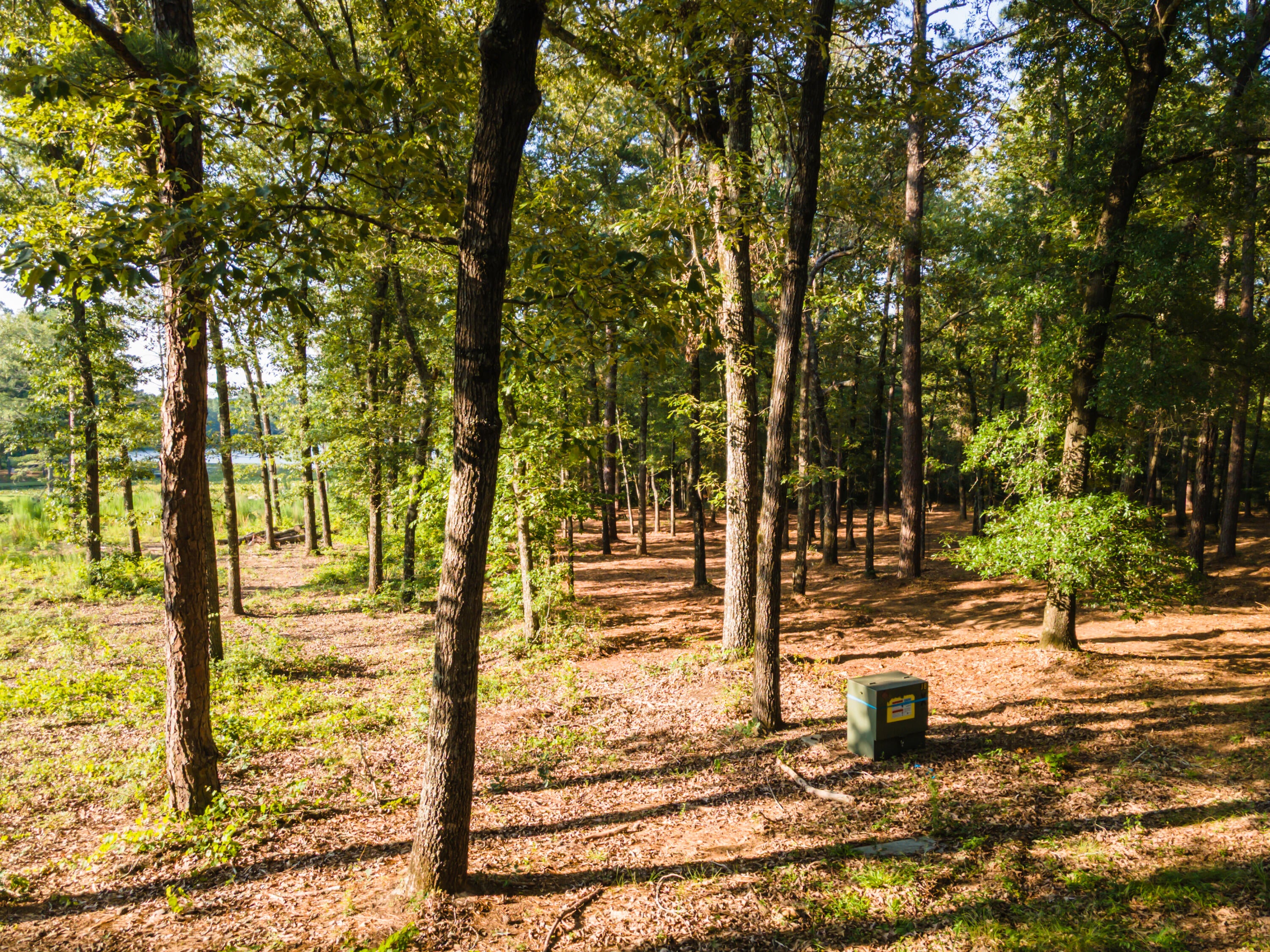 Tbd Edisto Lake Road, Unit 39 Wagener, SC 29164 - Photo 30 of 39 Gallery Image 30
