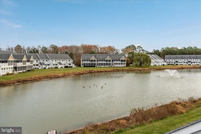 a view of swimming pool with outdoor seating and plants