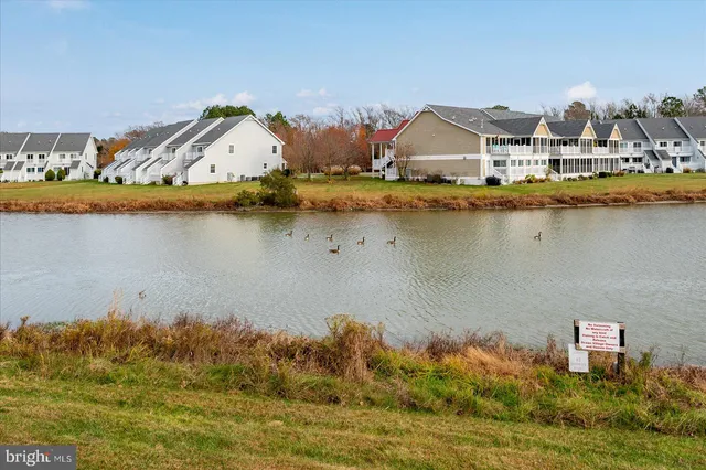 a view of a backyard with a slide trees and wooden fence