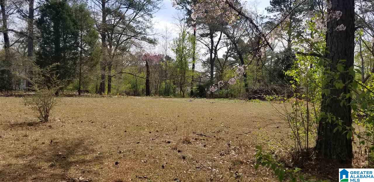 1113 Patton Chapel Road, Unit 3A Birmingham, AL 35226 - Photo 3 of 6