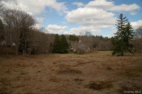 a view of a yard with trees