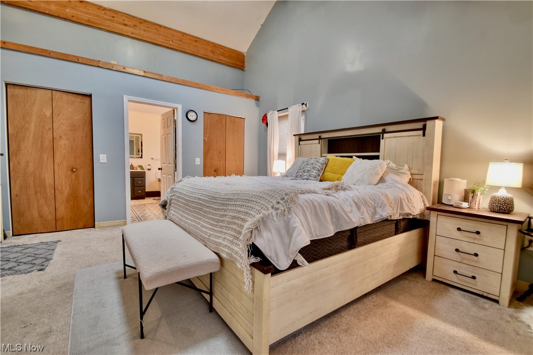 819 Orchard Road Willoughby, OH 44094 - Photo 19 of 24 Bedroom with light carpet, ensuite bathroom, high vaulted ceiling, and beam ceiling