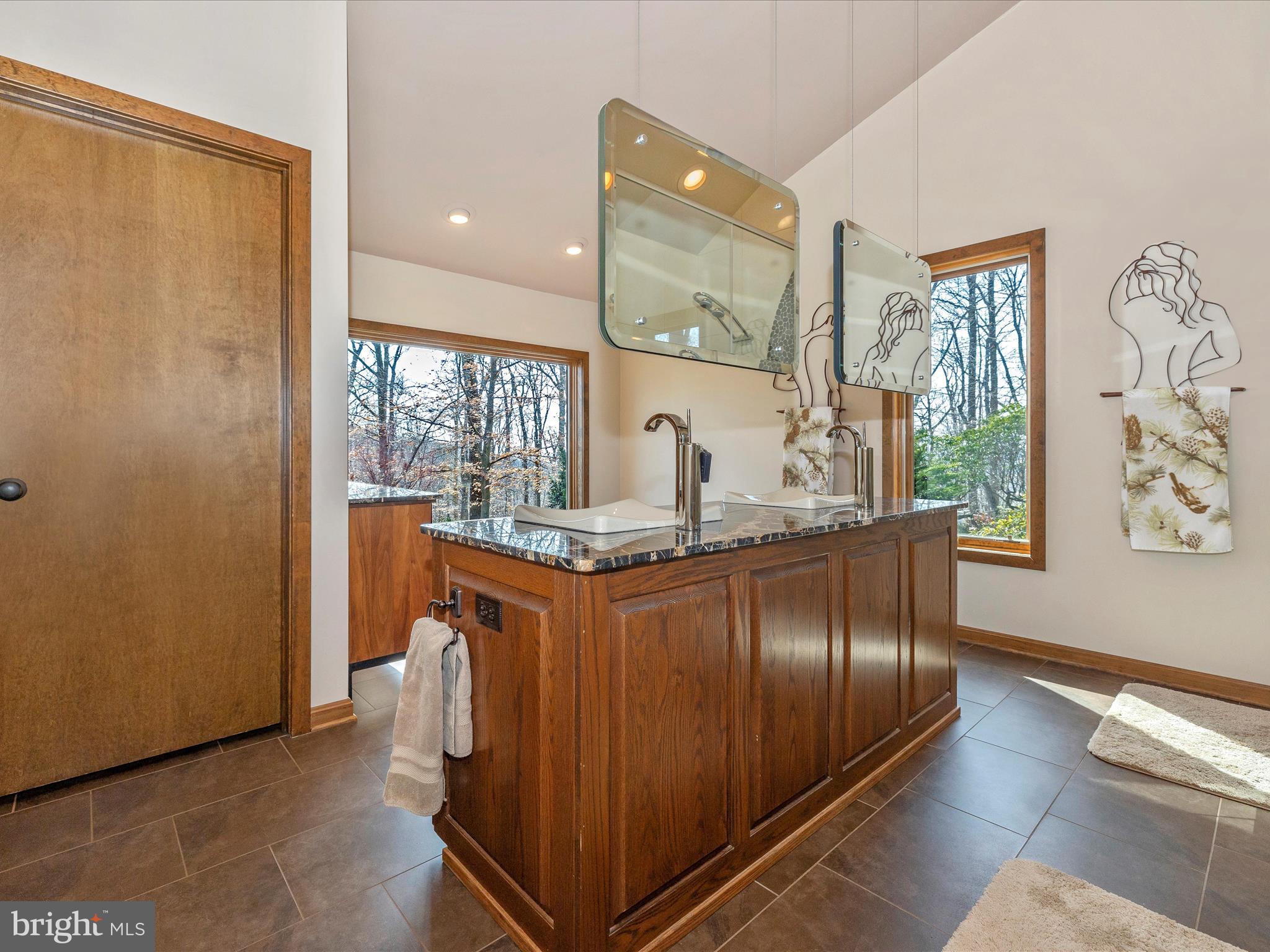 3948 Mar Lu Ridge Road Jefferson, MD 21755 - Photo 56 of 116 Primary Bathroom