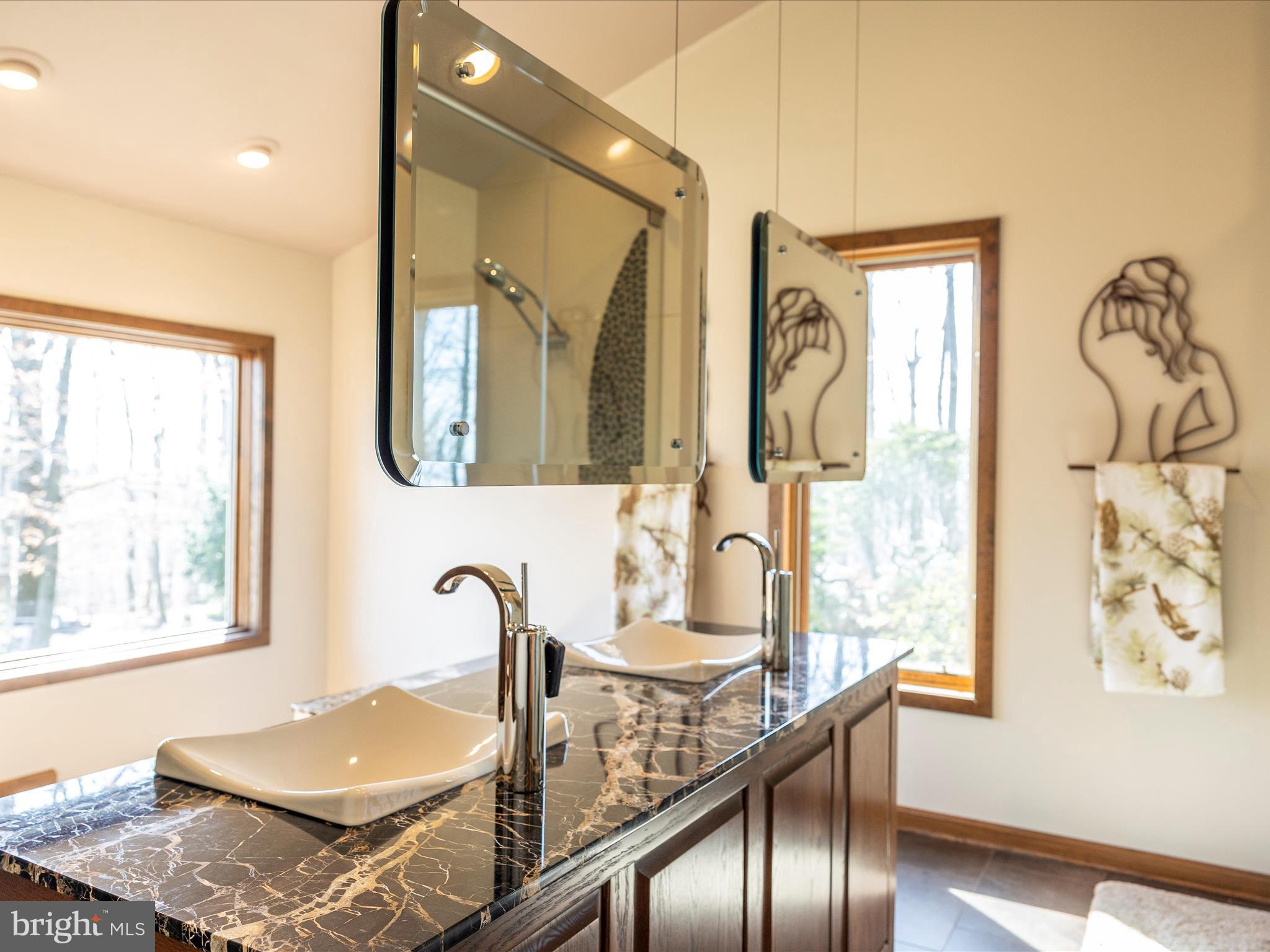 3948 Mar Lu Ridge Road Jefferson, MD 21755 - Photo 57 of 116 Primary Bathroom Detail