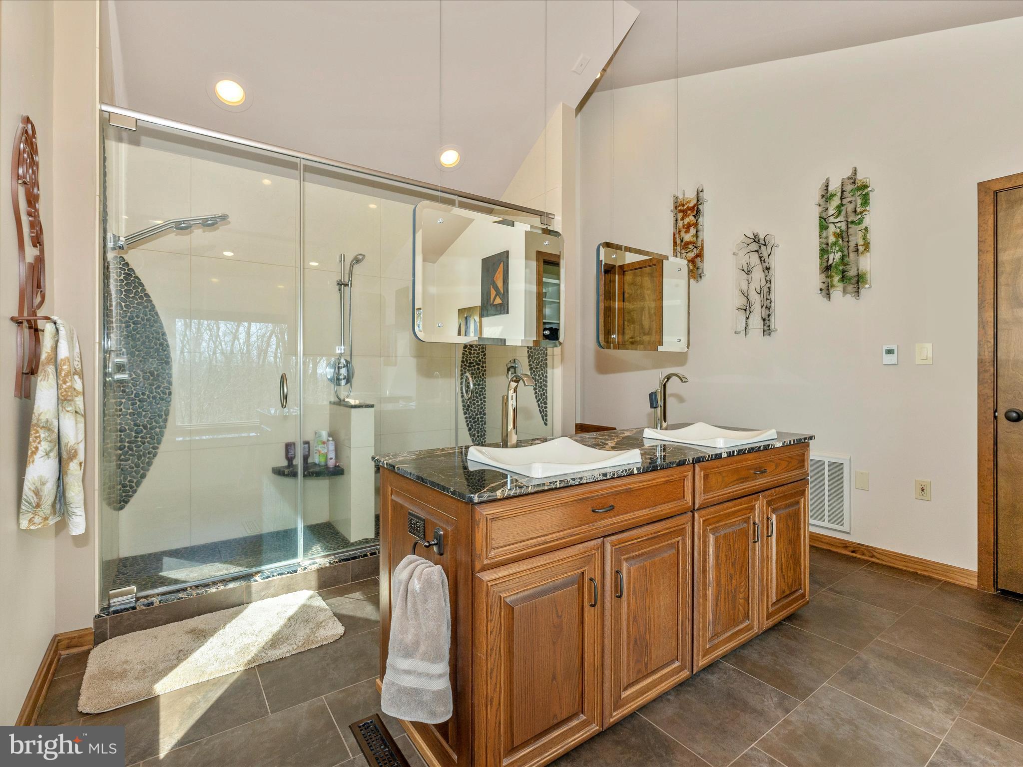 3948 Mar Lu Ridge Road Jefferson, MD 21755 - Photo 59 of 116 Primary Bathroom